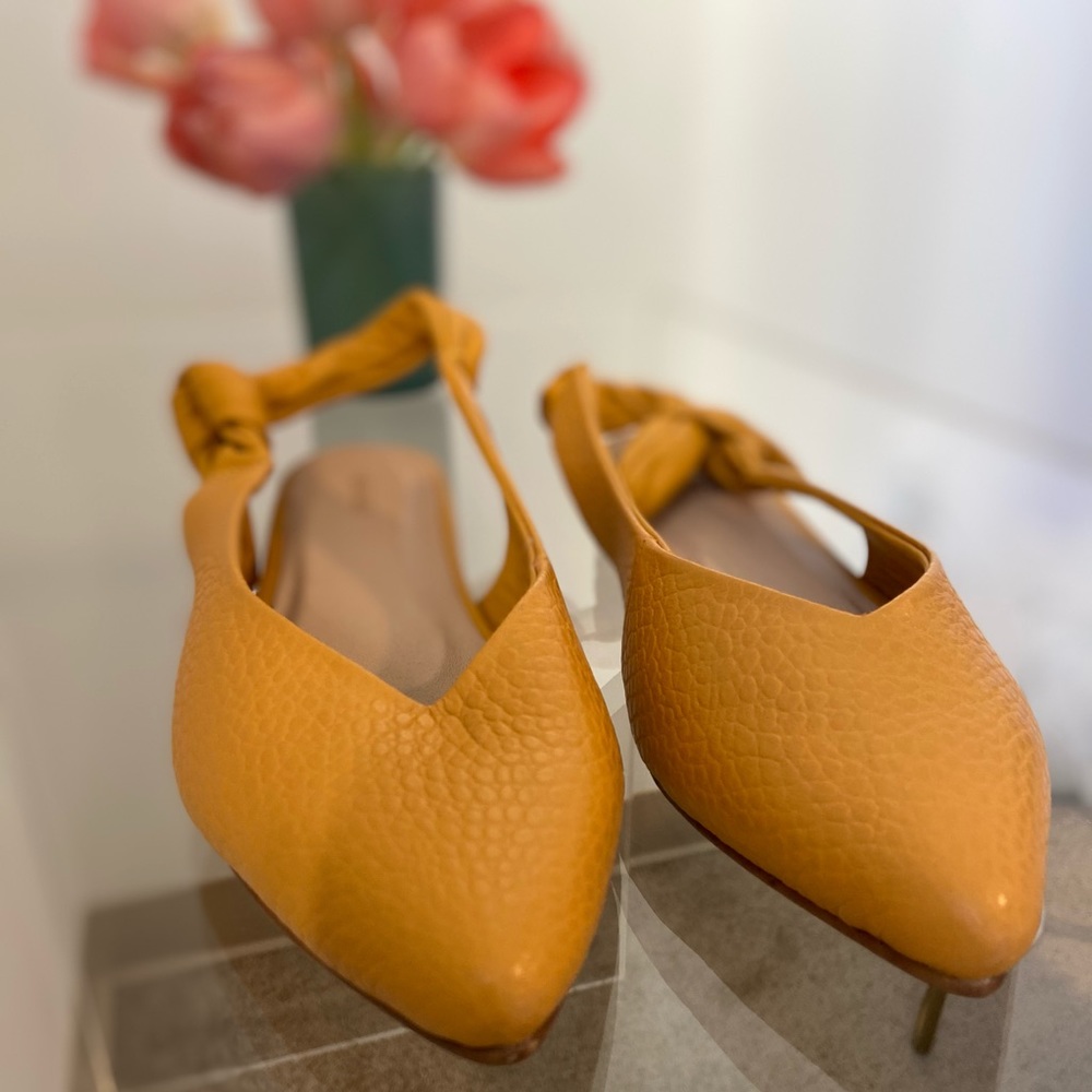 KAANAS Pointed Toe Flats with Ankle Tie | US 8